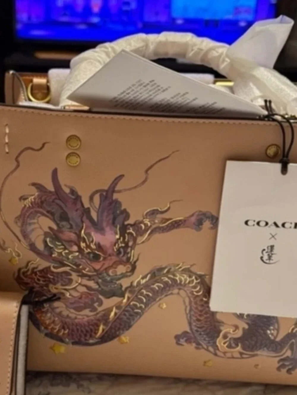 Coach Limited Edition Dragon Rogue